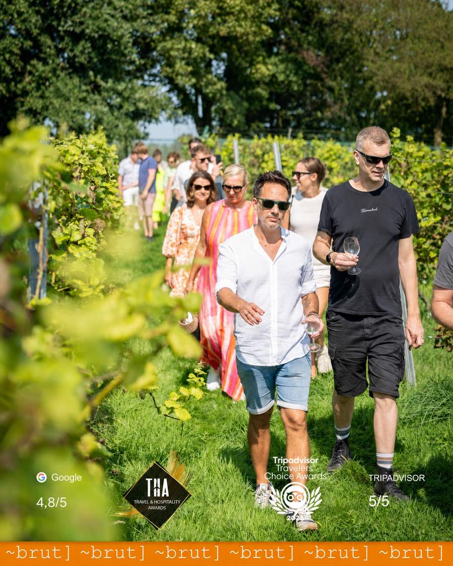Wine tour door de wijngaarden met Brut